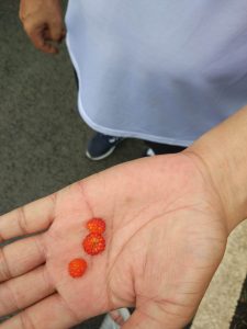 《熟悉又陌生的家乡》